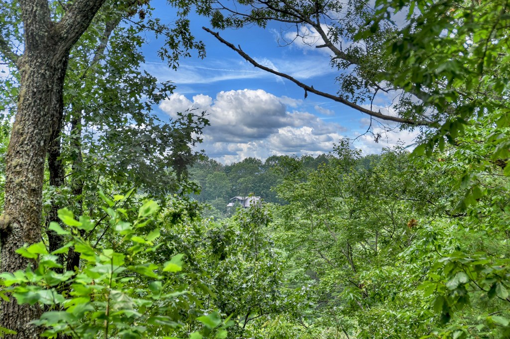 417533 Blue Ridge Residential