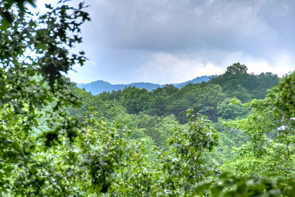 417533 Blue Ridge Residential