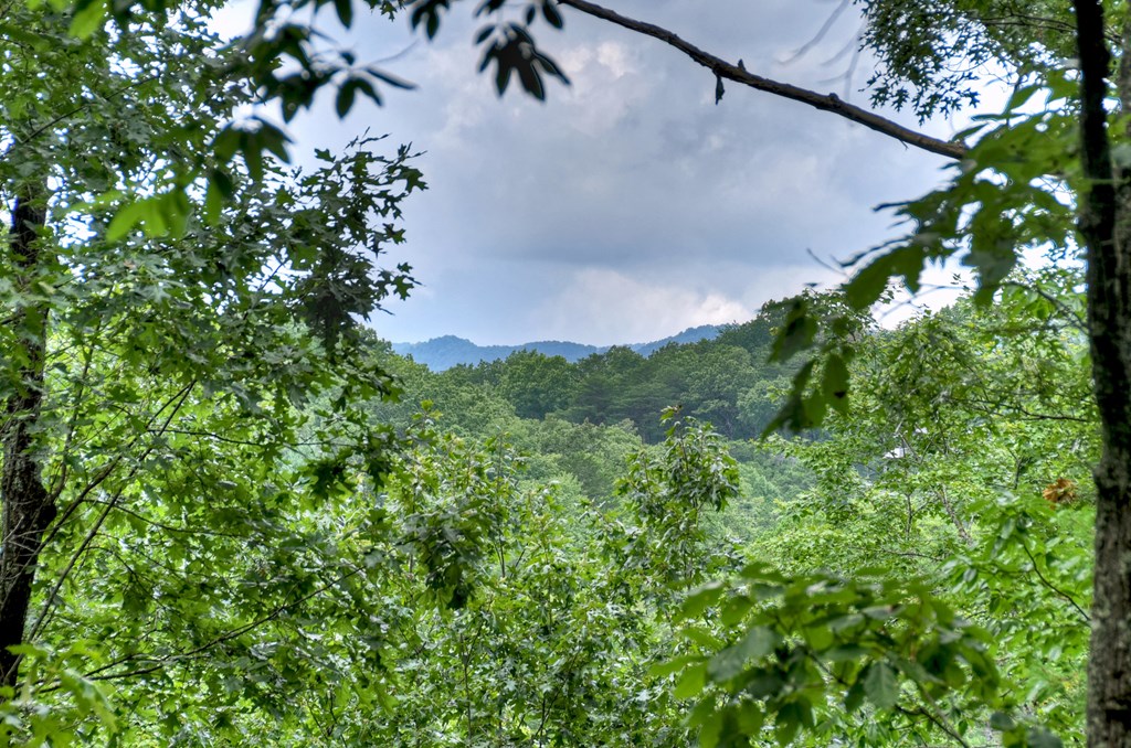 417533 Blue Ridge Residential