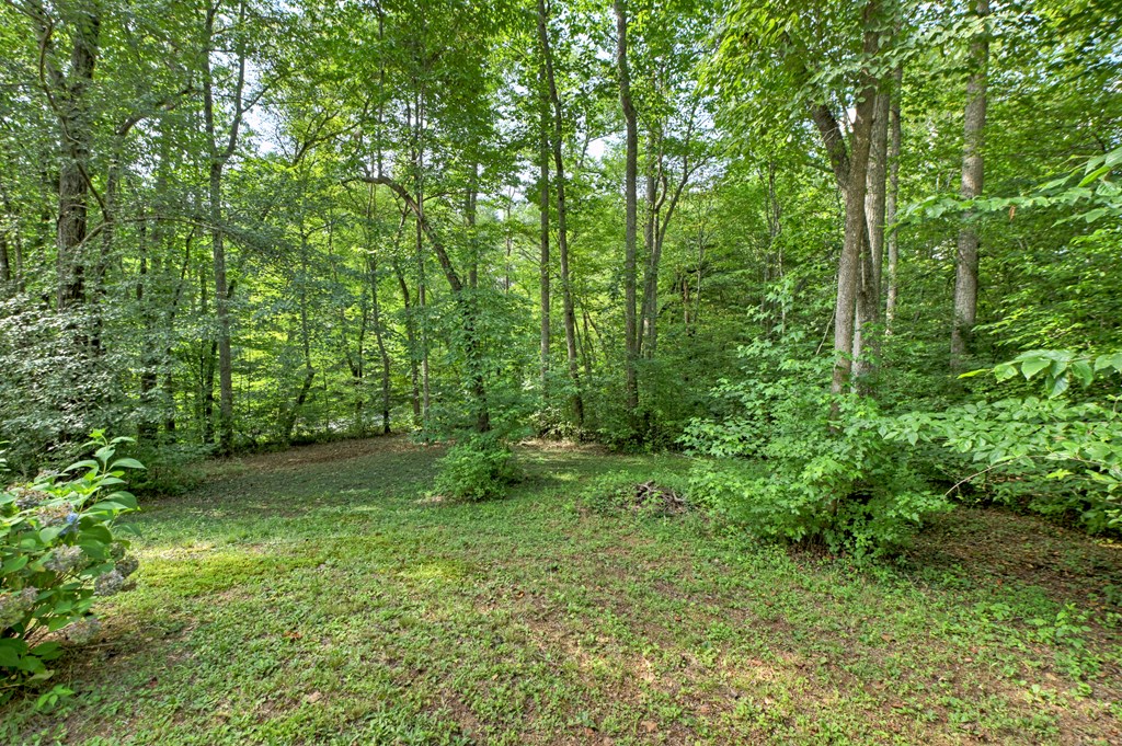 417538 Blue Ridge Residential