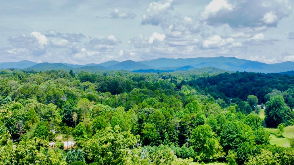 417539 Ellijay 