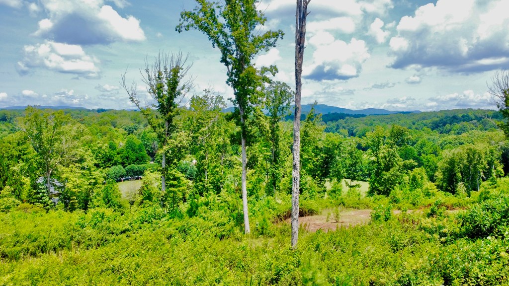417539 Ellijay Land