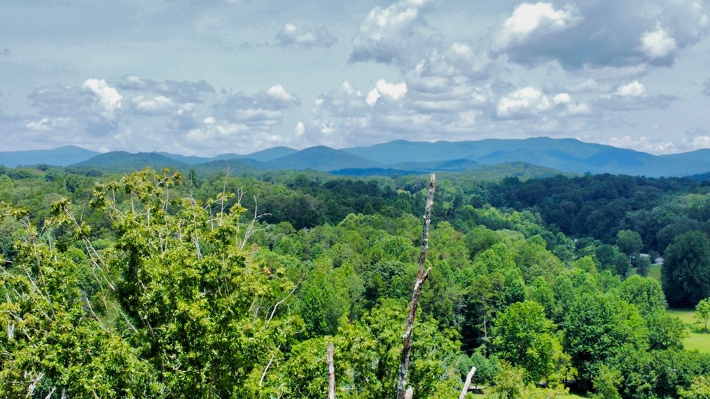 417539 Ellijay Land