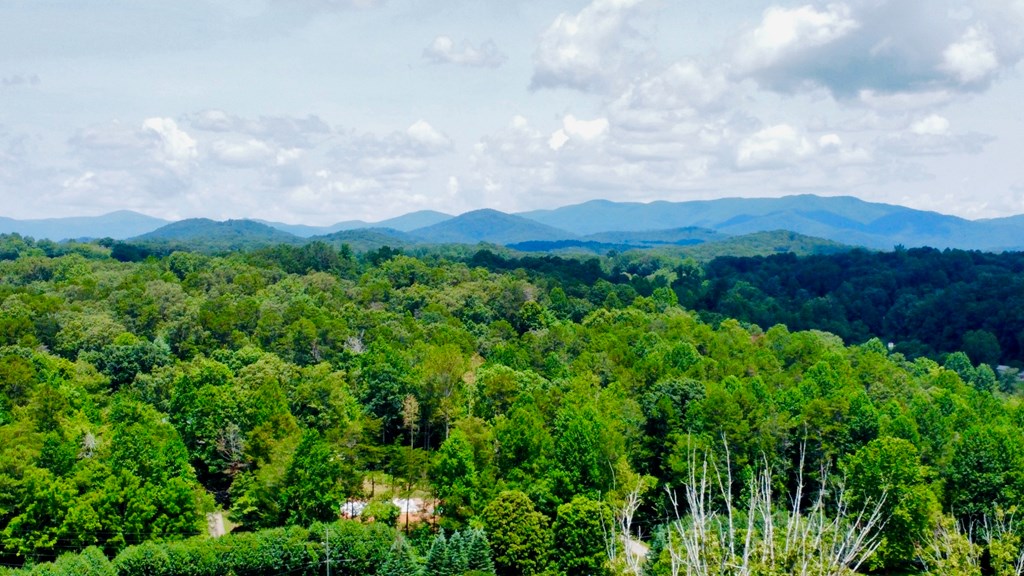 417539 Ellijay Land
