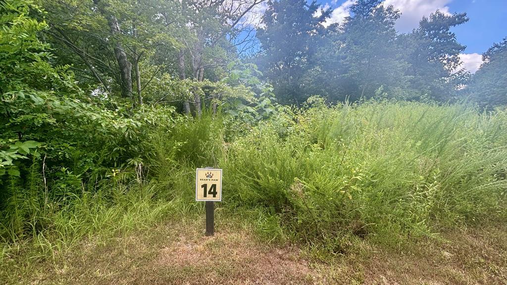 417550  Land