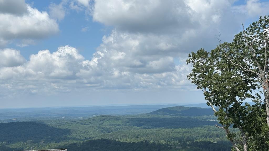 417550 Ellijay Land