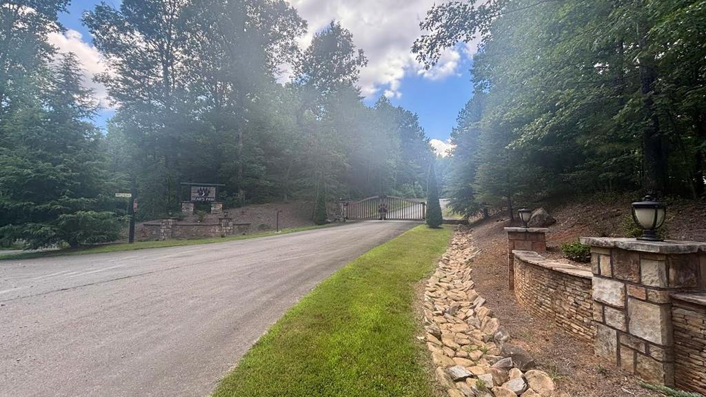417550 Ellijay Land