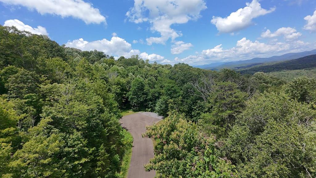 417550 Ellijay Land