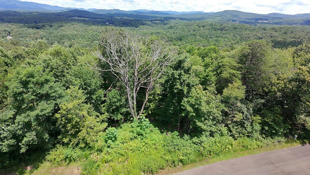 417550 Ellijay Land