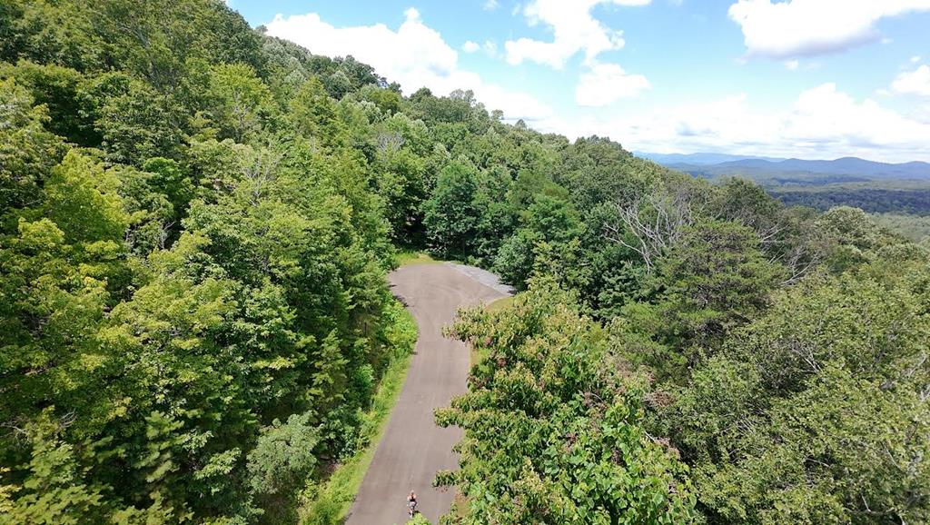 417550 Ellijay Land