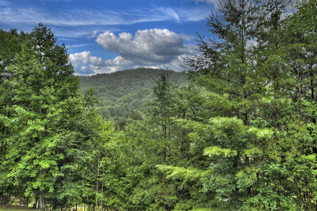 417555 Blue Ridge Residential