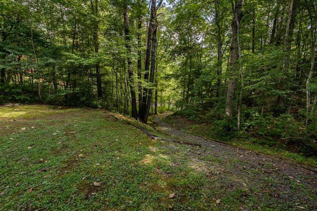 417556 Turtletown Land