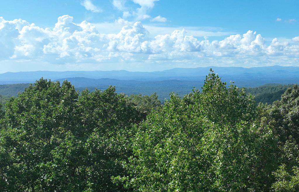 417562 Ellijay 
