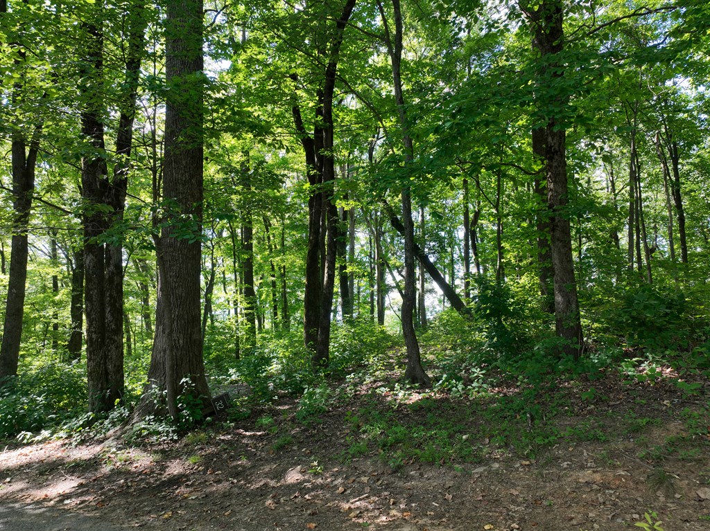 417562 Ellijay Land