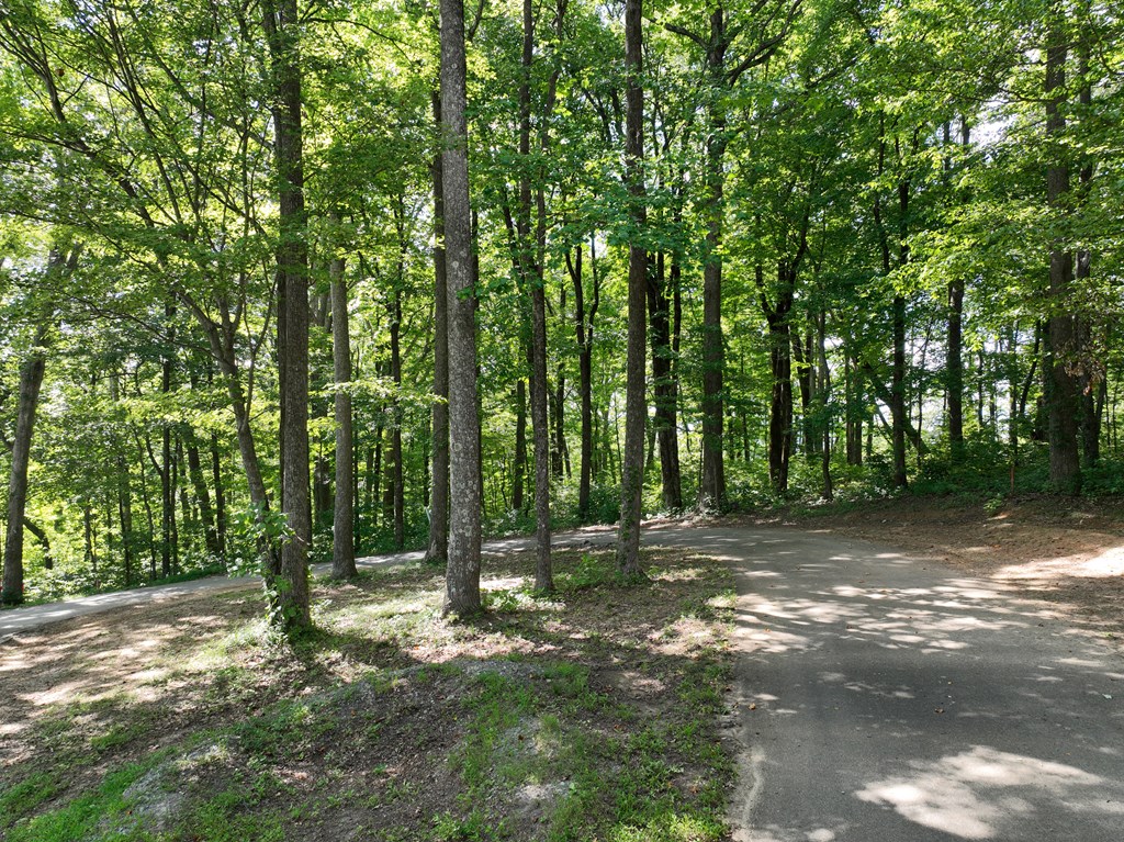 417562 Ellijay Land