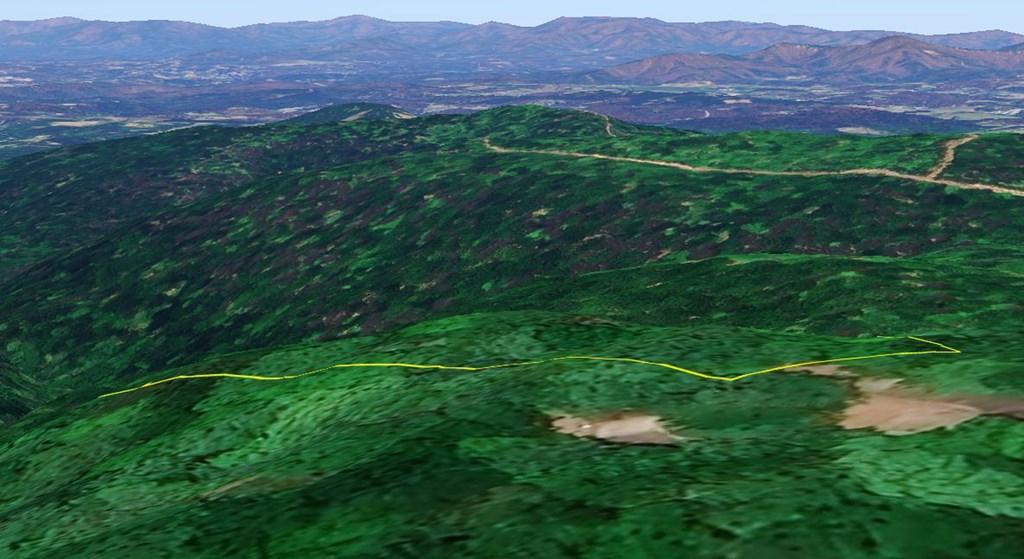 417562 Ellijay Land