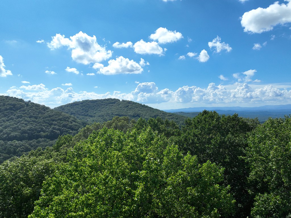 417562 Ellijay Land