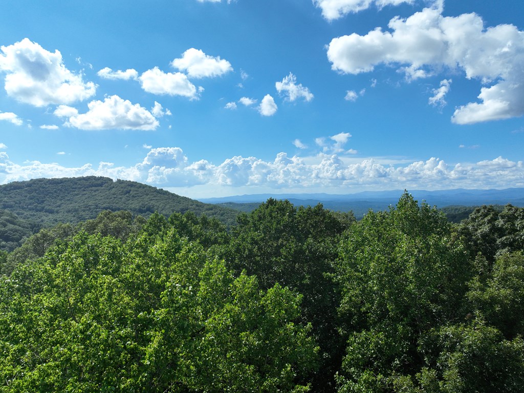 417562 Ellijay Land