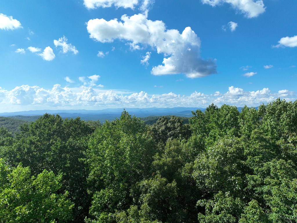 417562 Ellijay Land