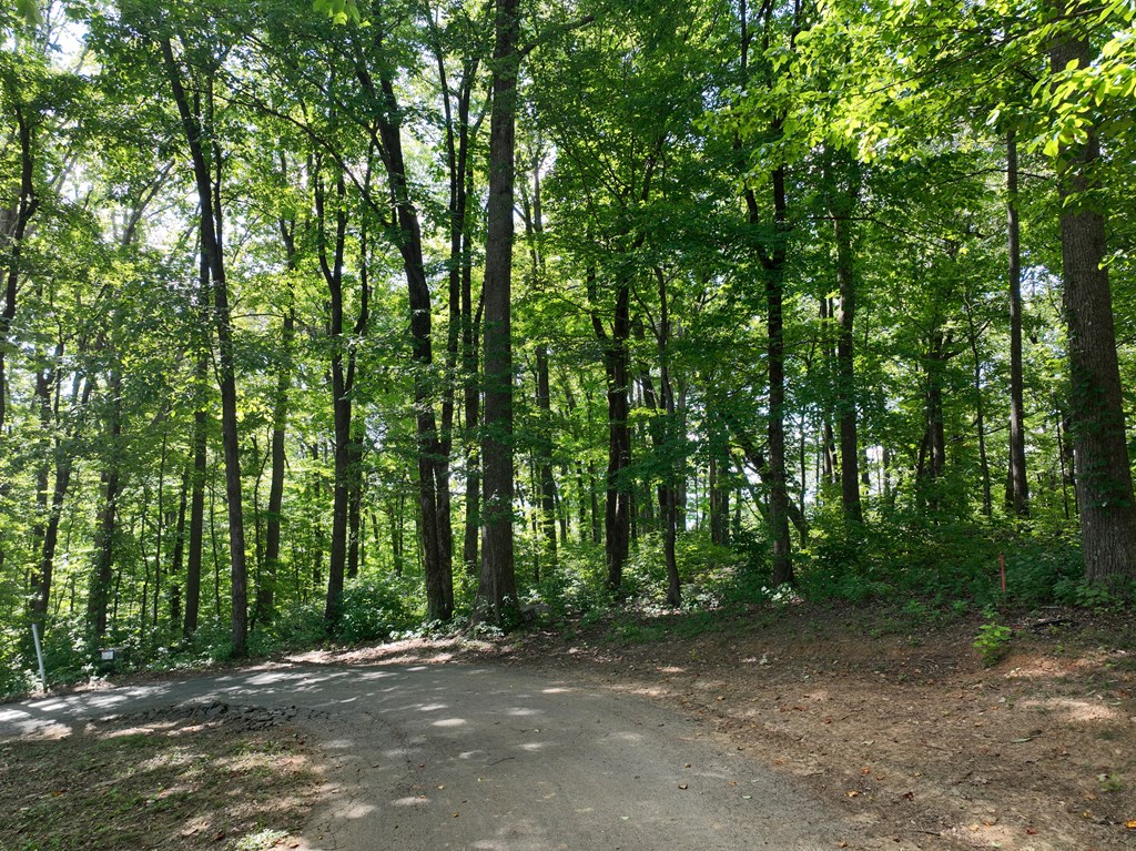 417562 Ellijay Land