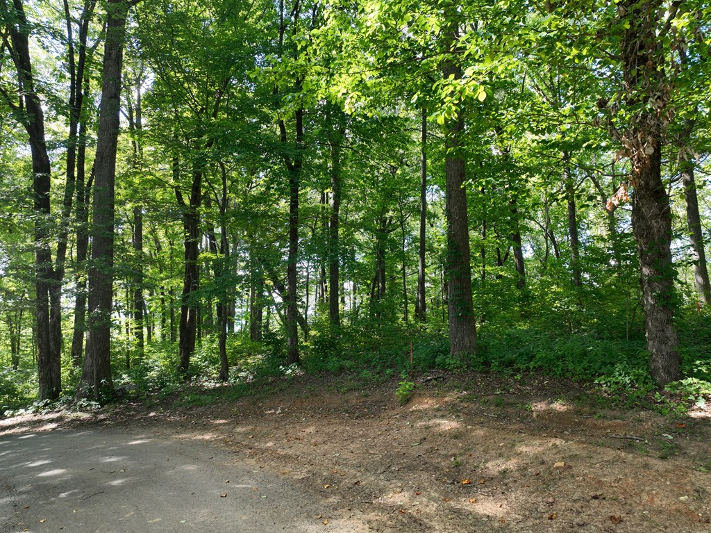 417562 Ellijay Land