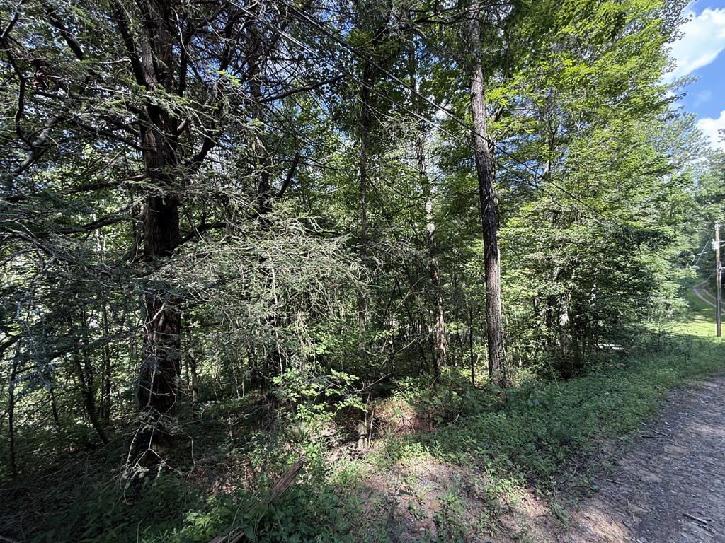 417565 Ellijay Land