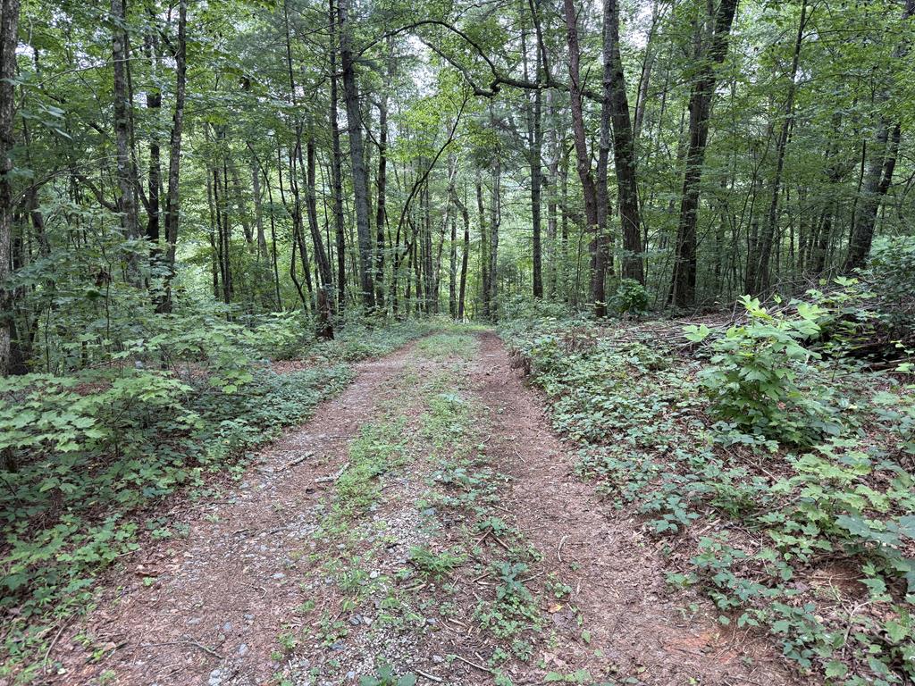 417566 Ellijay 