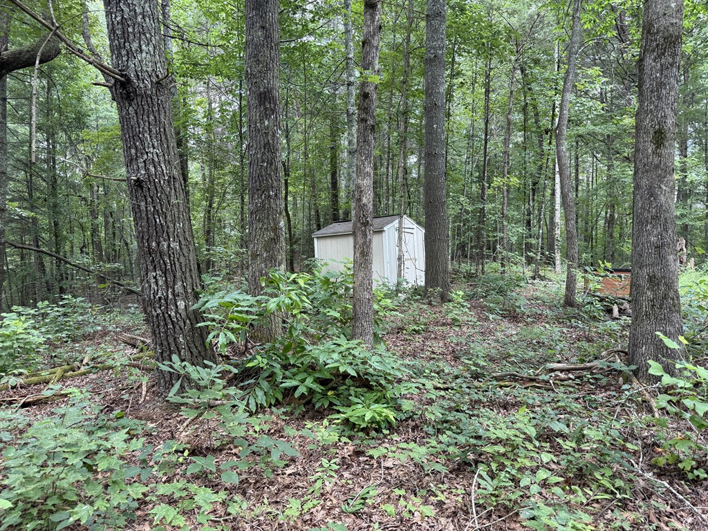 417566 Ellijay Land