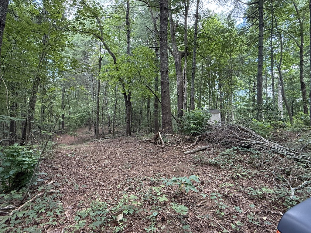 417566 Ellijay Land