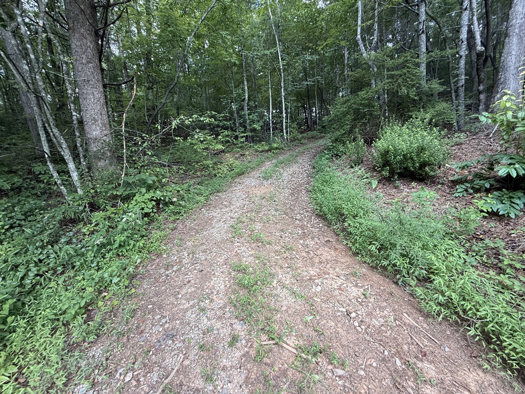 417566 Ellijay Land