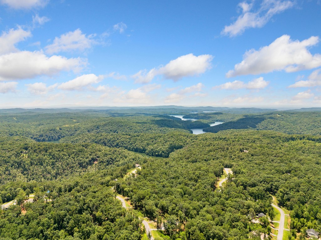 417568 Ellijay Land