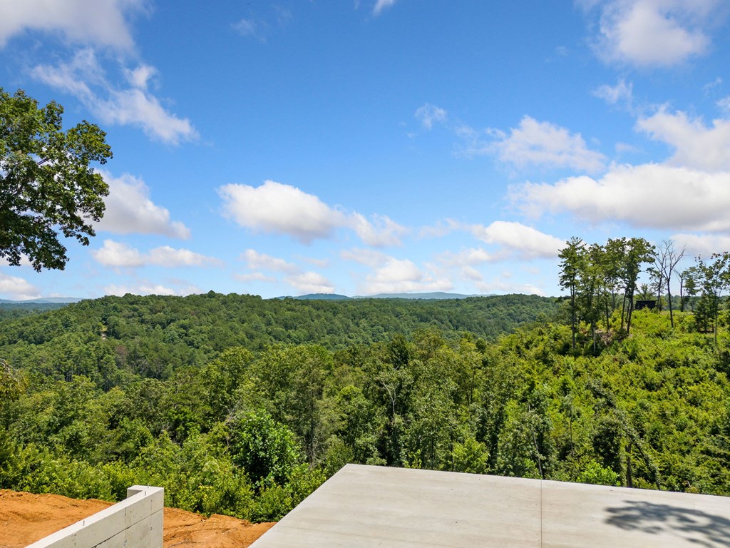 417568 Ellijay Land