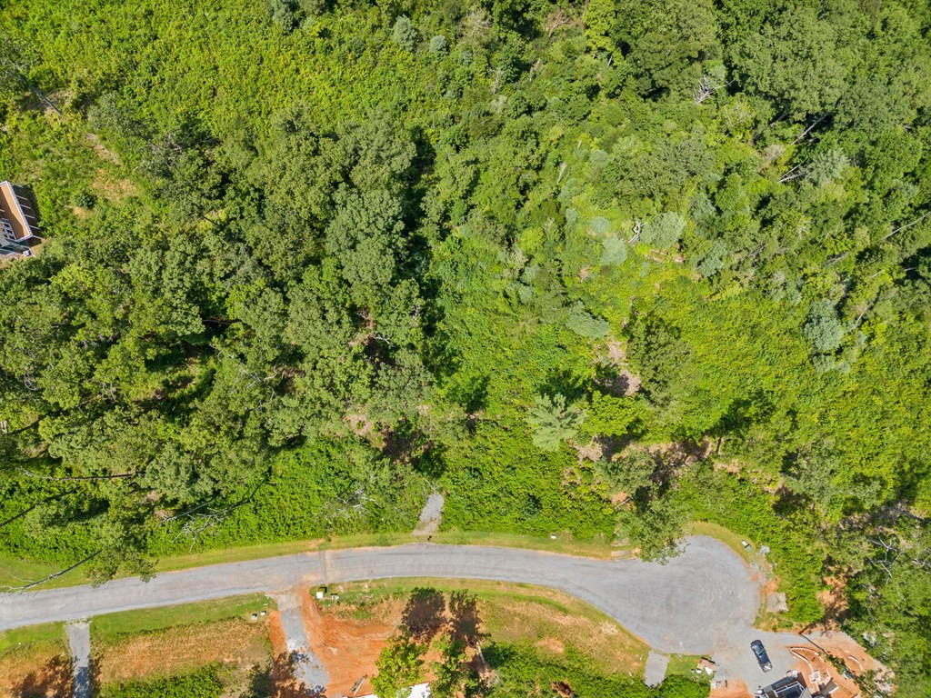 417568 Ellijay Land