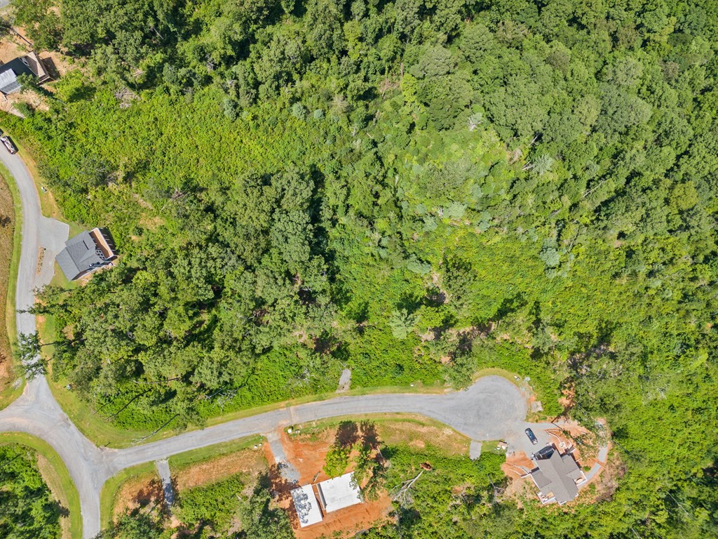 417568 Ellijay Land