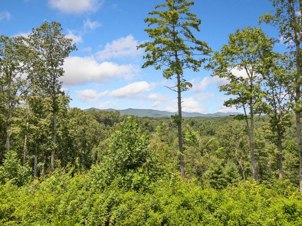 417568 Ellijay Land