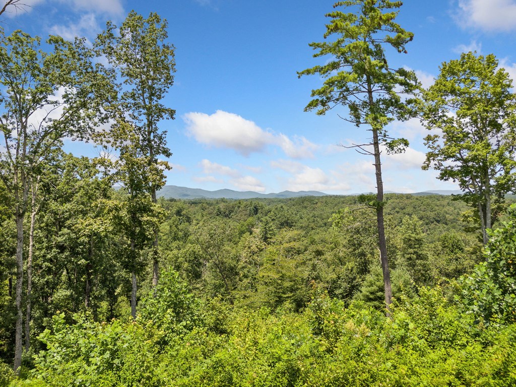 417568 Ellijay Land