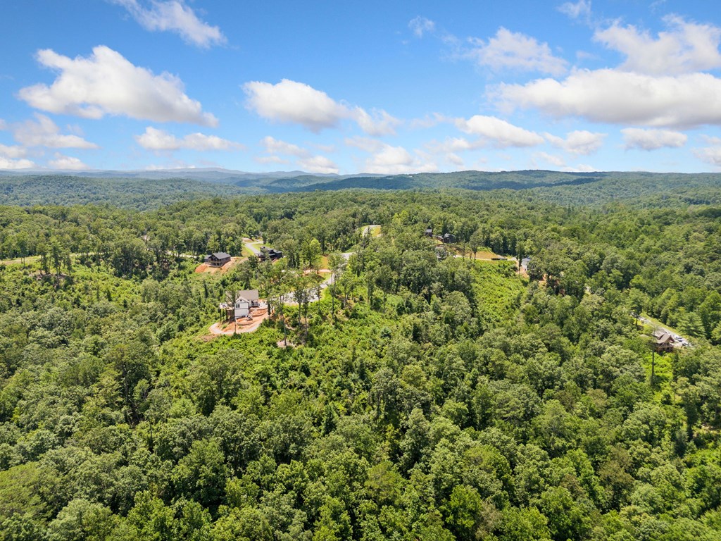 417568 Ellijay Land