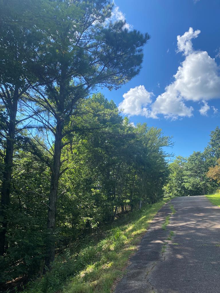 417574 Blairsville 