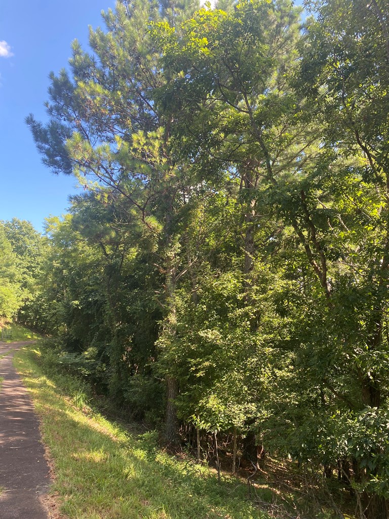 417574 Blairsville Land