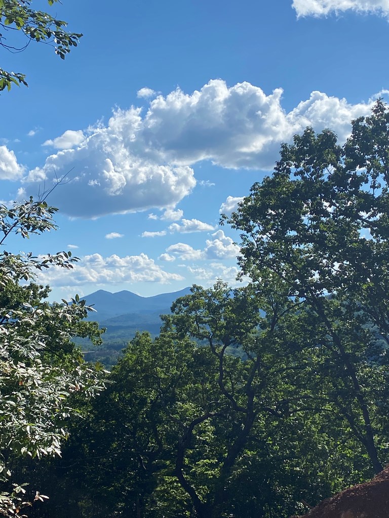 417574 Blairsville Land