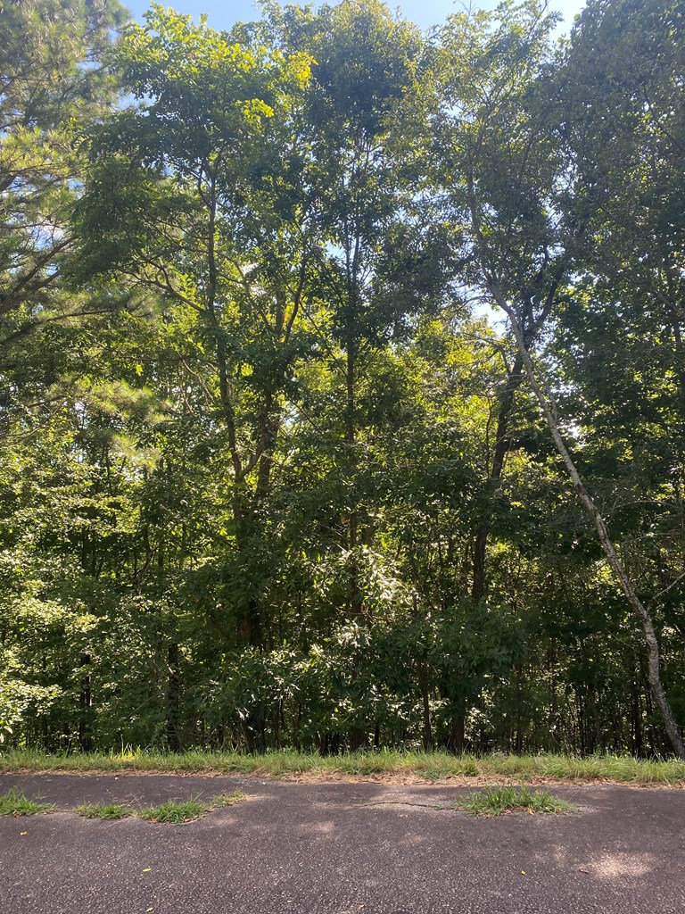 417574 Blairsville Land