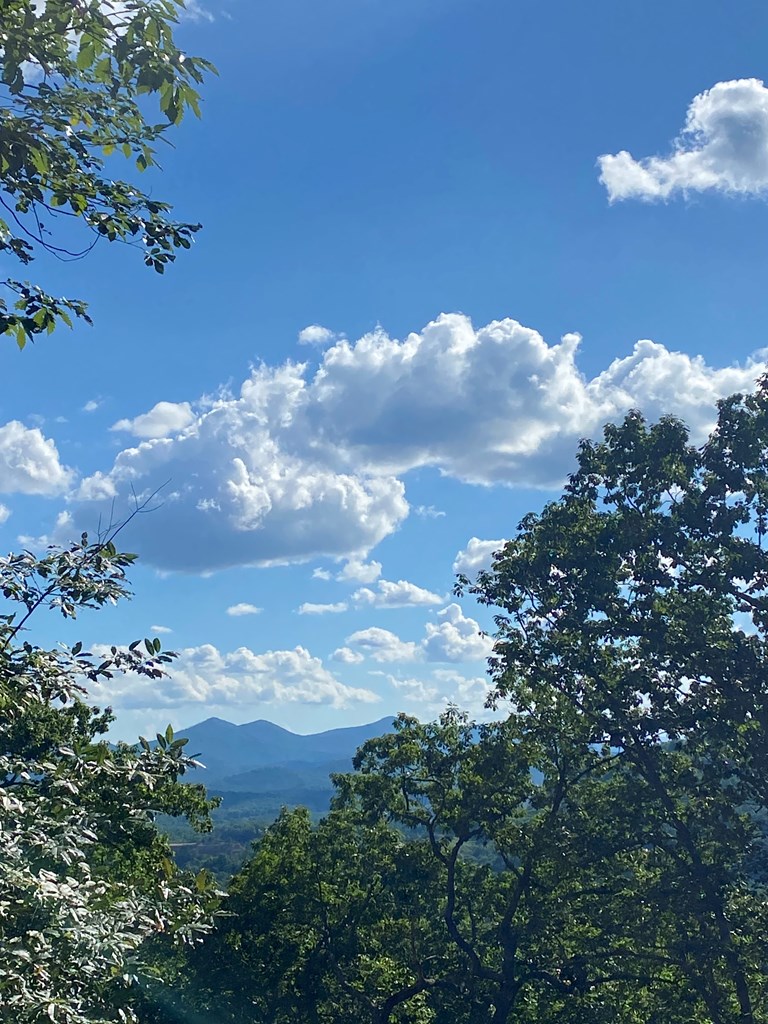 417574 Blairsville Land