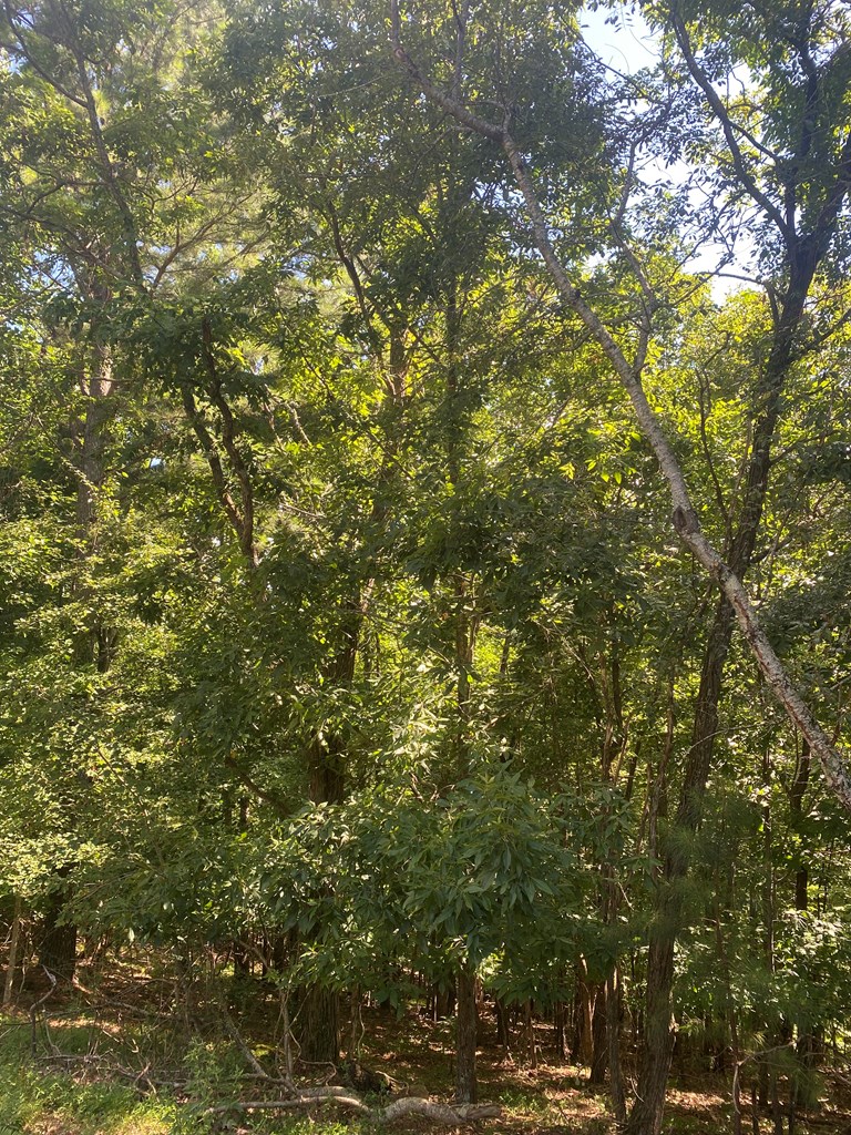 417574 Blairsville Land