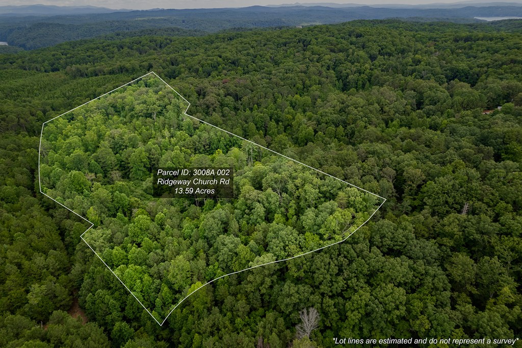 417575 Ellijay Land