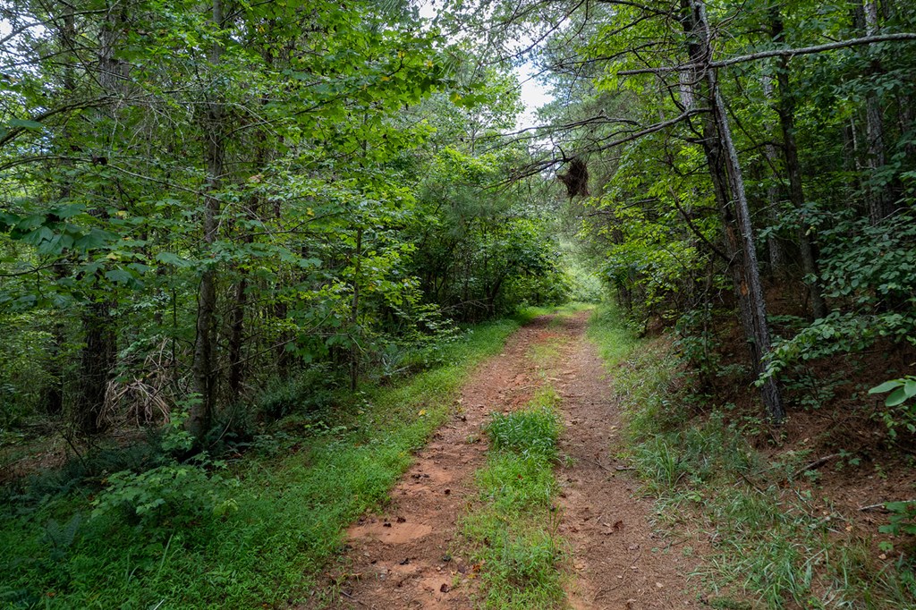 417575 Ellijay Land
