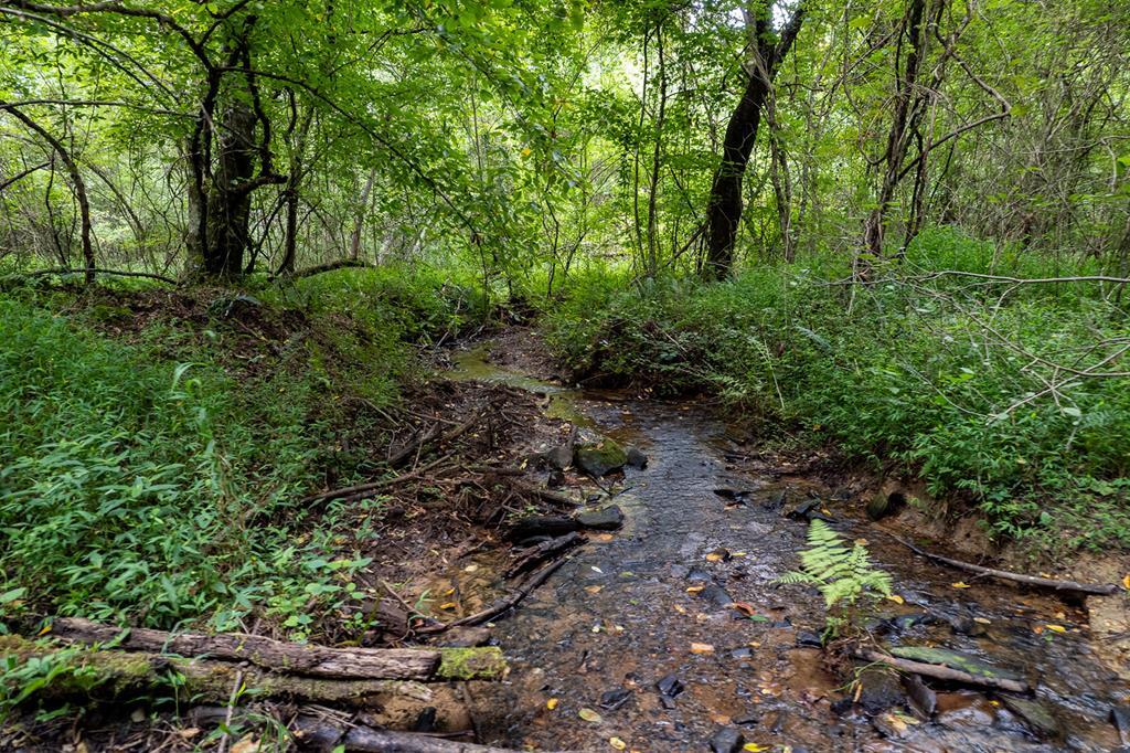 417575 Ellijay Land