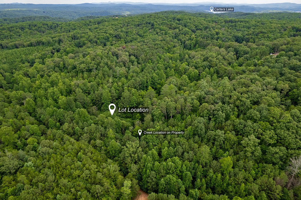 417575 Ellijay Land