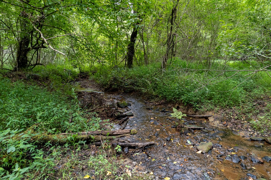417575 Ellijay Land
