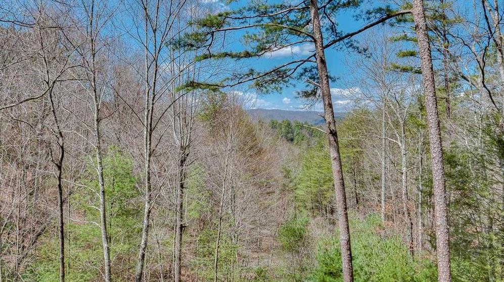 417576 Blue Ridge Residential