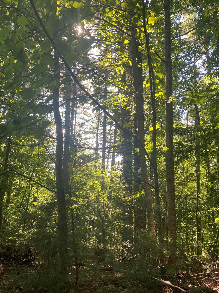 417577 Blairsville 